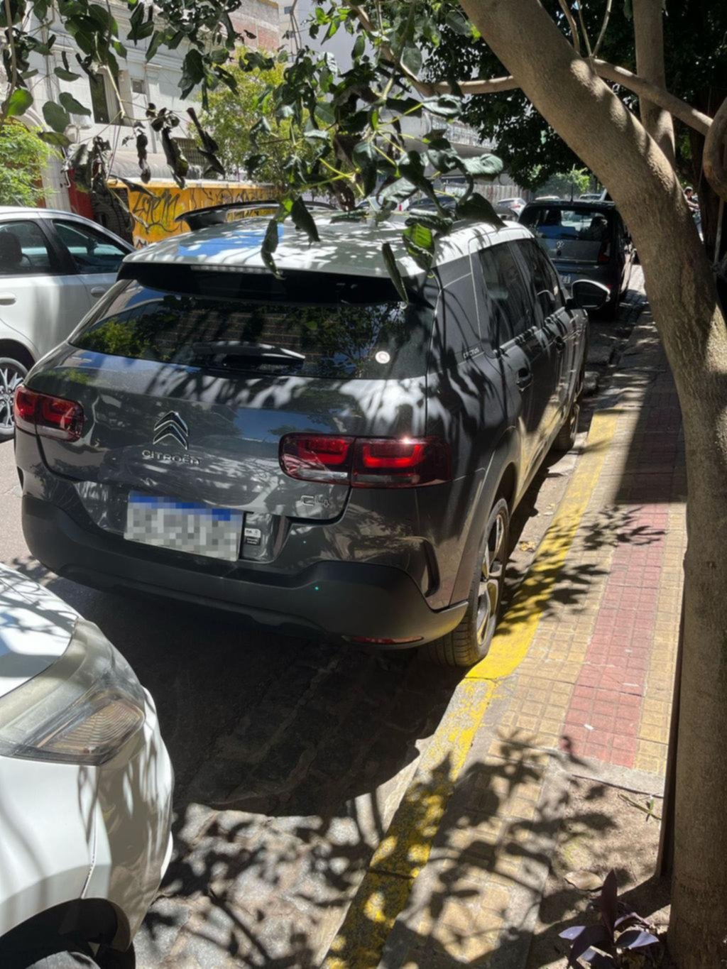 “Estacioná donde quieras”: quejas por un vehículo parado en una cochera
