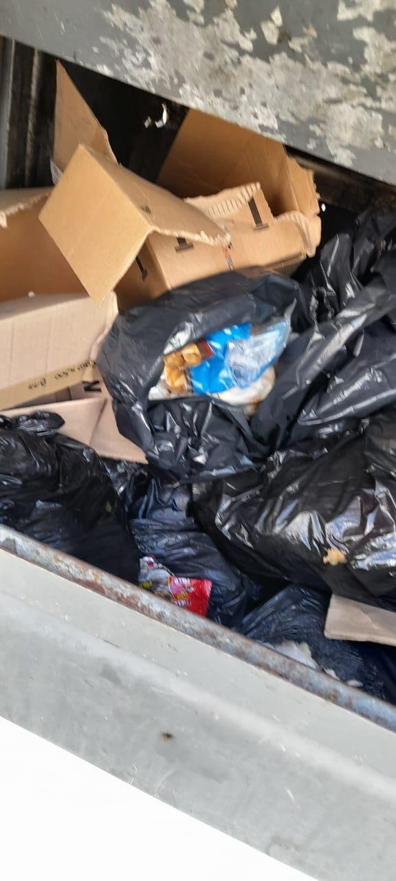 El contenedor rebalsa y el hedor es insoportable en diagonal 74 y 48