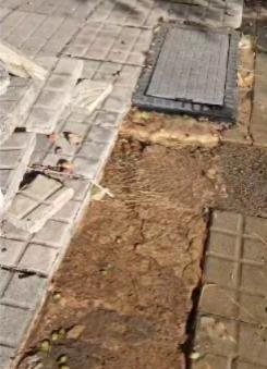 Un manantial de agua potable en una vereda de 531 entre 115 bis y 116