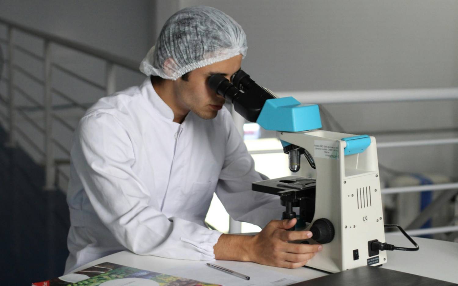 Fármacos, suplementos, reprogramación epigenética y eliminación de células senescentes, ¿cómo la ciencia busca “detener el tiempo”?