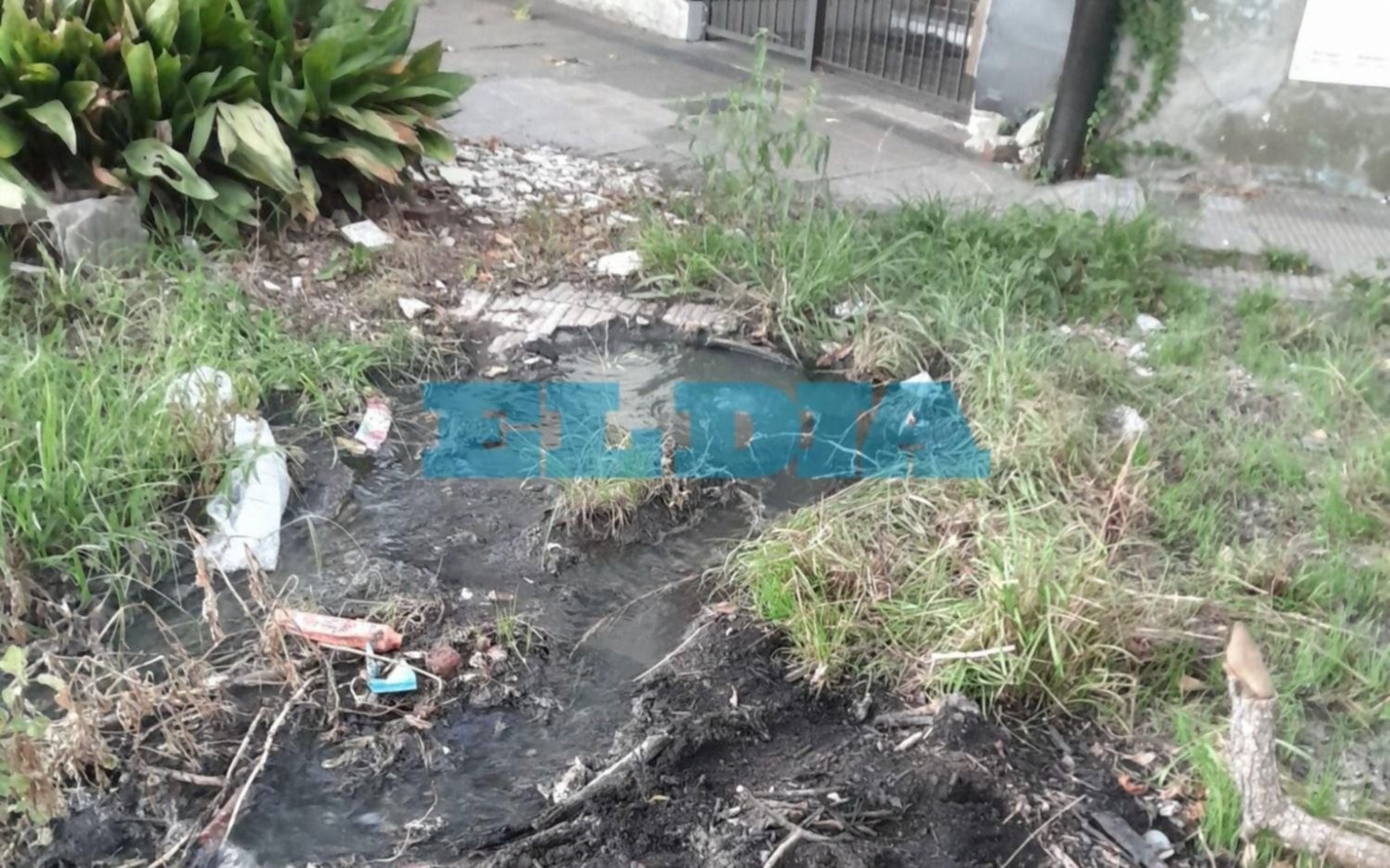 Diagonal nauseabundo: impresionante desborde cloacal en Plaza Sarmiento