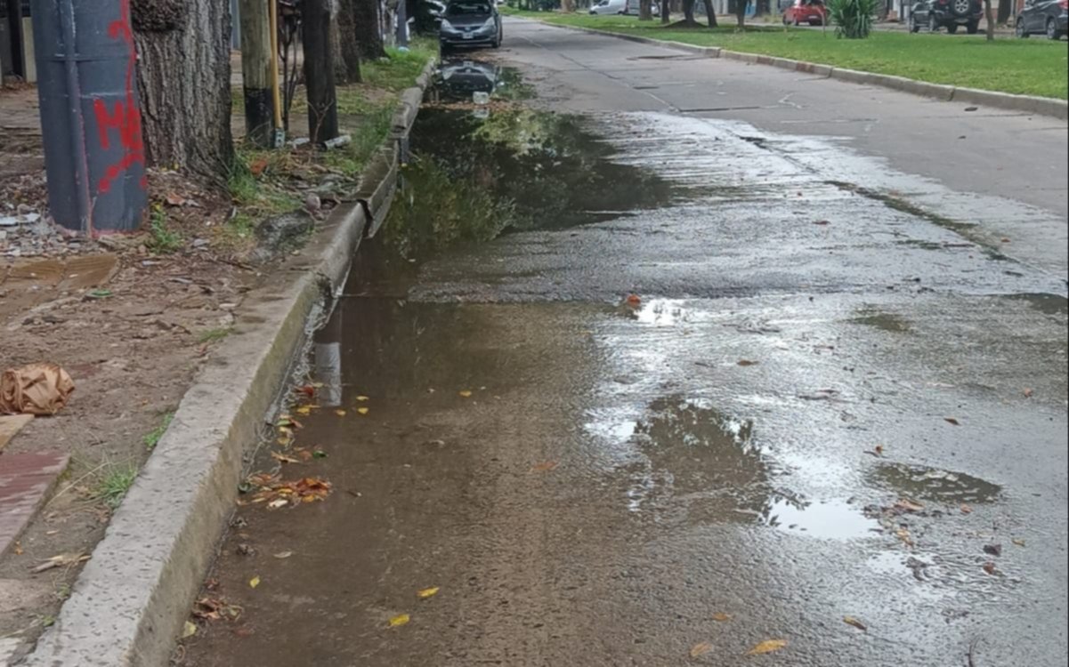 Incontables pérdidas de agua en la zona de Plaza Sarmiento y Parque Castelli