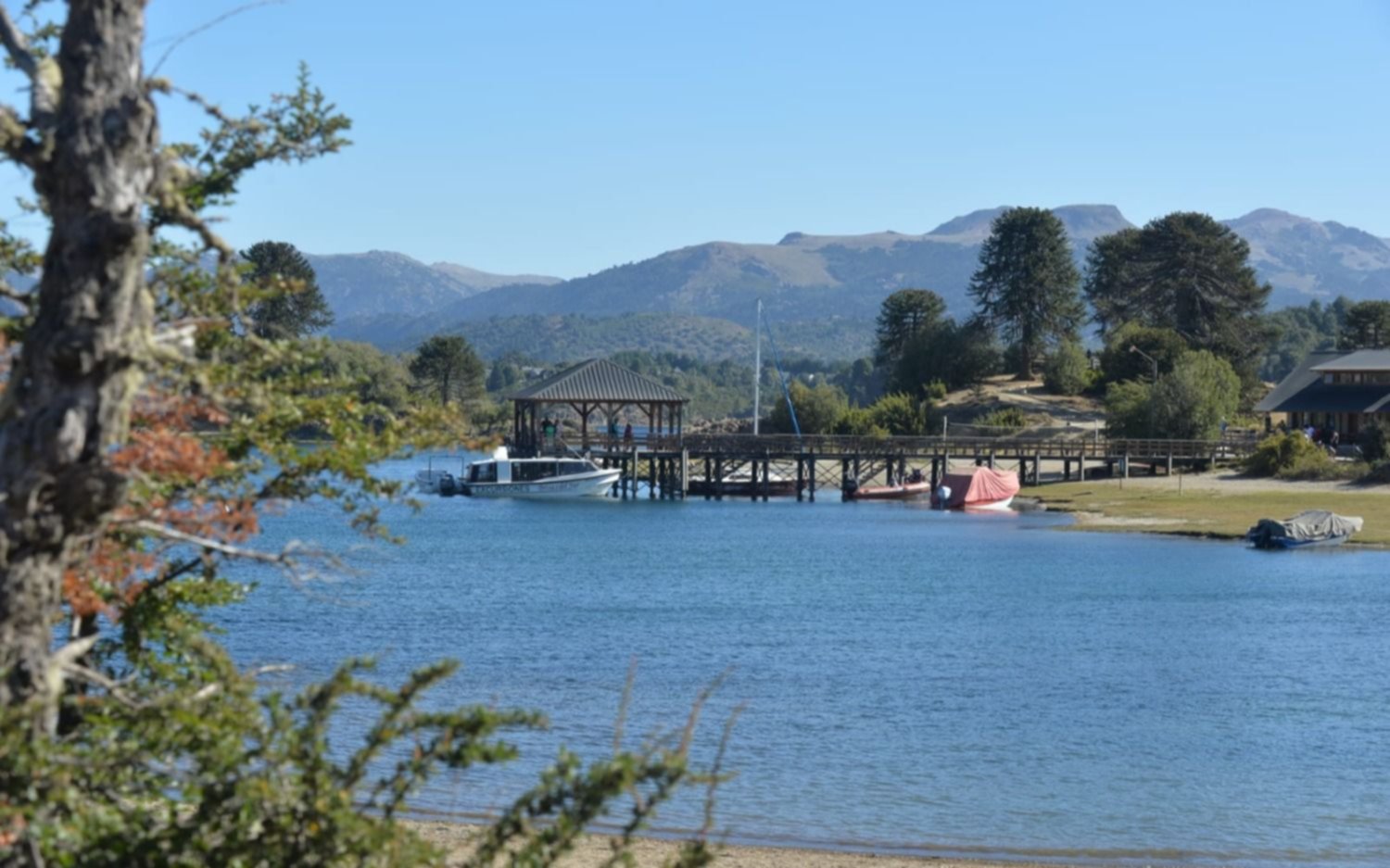 Villa Pehuenia y Alumine, una joya de la Patagonia al pie de la Cordillera