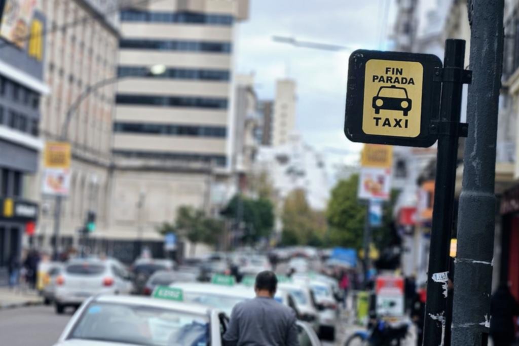El taxi, la crisis y el control: en La Plata, unos 500 autos no están para circular