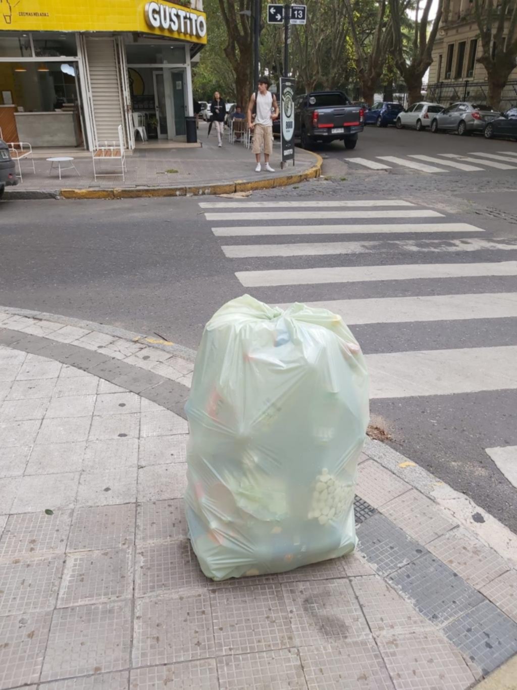 Reclamos varios porque no se retiran las bolsas verdes