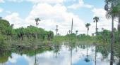 Maranhao, todo un paraíso para descubrir en el nordeste de Brasil