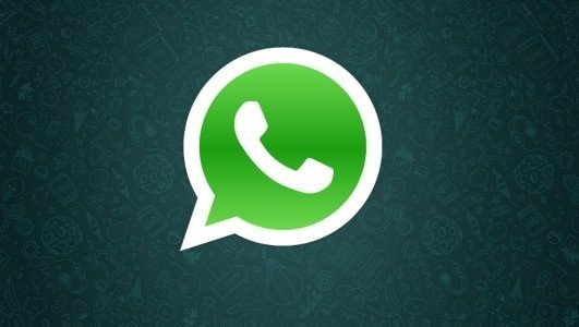 Conectate con EL DIA a través de WhatsApp