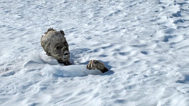 Hallaron dos cuerpos momificados tras desaparecer hace 50 años en una montaña