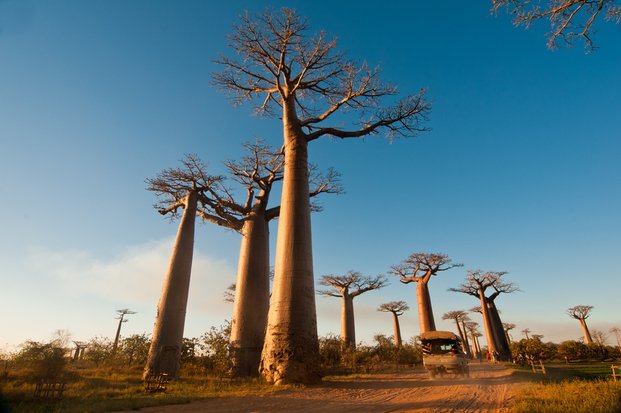 Madagascar, isla encantadora que el turismo está conociendo