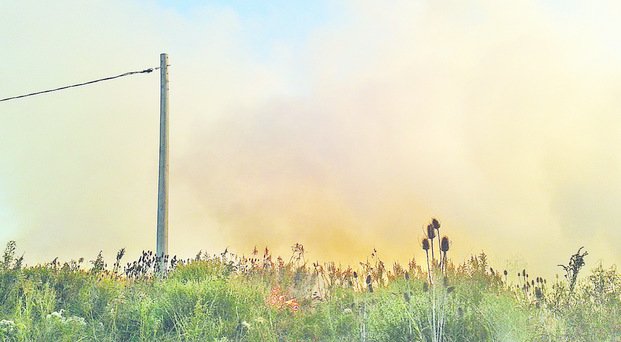 Sofocan una docena de incendios de pastizales por día en la Región
