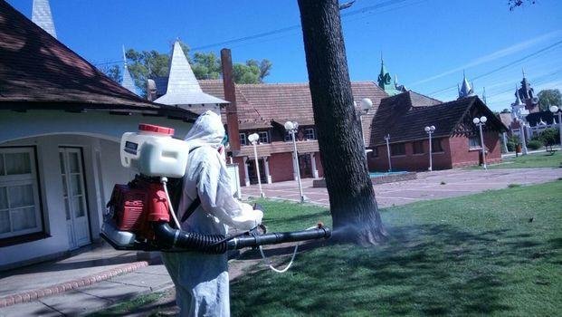 Dengue: 15 mil casos en el país y suben alerta en la Provincia