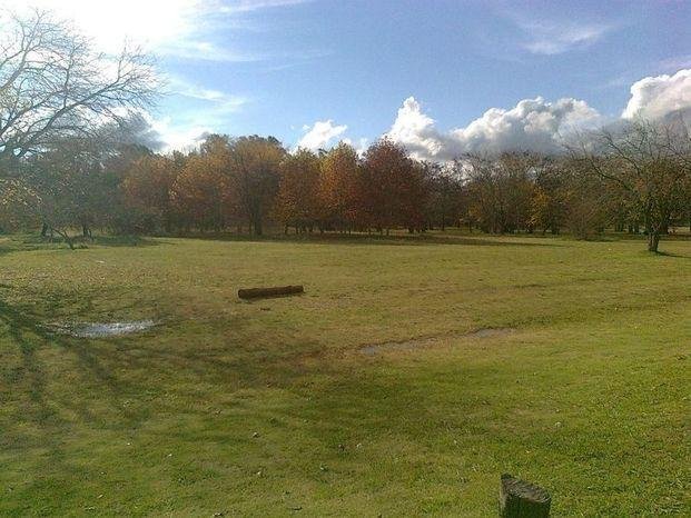 El Argentino Juvenil pide  al municipio que revea el  desalojo del Parque Ecológico