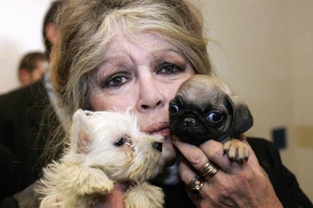 Brigitte Bardot, durísima con los "galgueros": "Son unos monstruos, no son seres humanos"