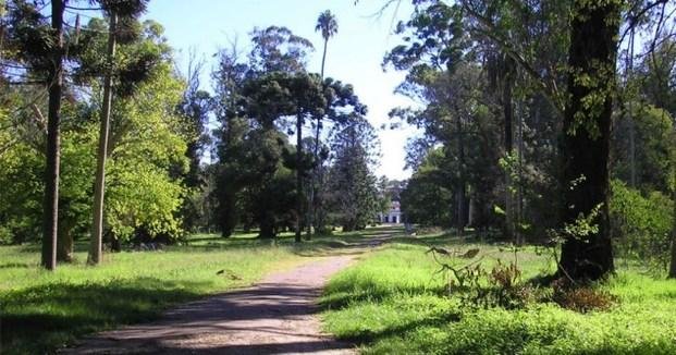 Hallaron a una joven asesinada en el Parque Pereyra Iraola