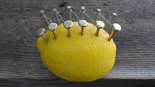 Sepa cómo se hace una fogata a partir de un limón