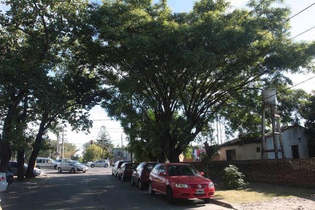 Vecinos de Gonnet en estado de alerta por dos nuevas entraderas
