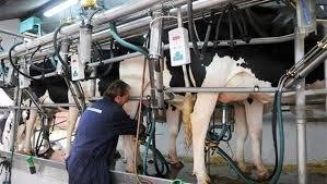 Tamberos se movilizarán a nivel nacional