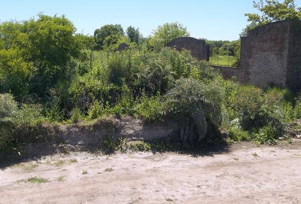 Usurpaciones complican el proyecto ferroviario a Brandsen