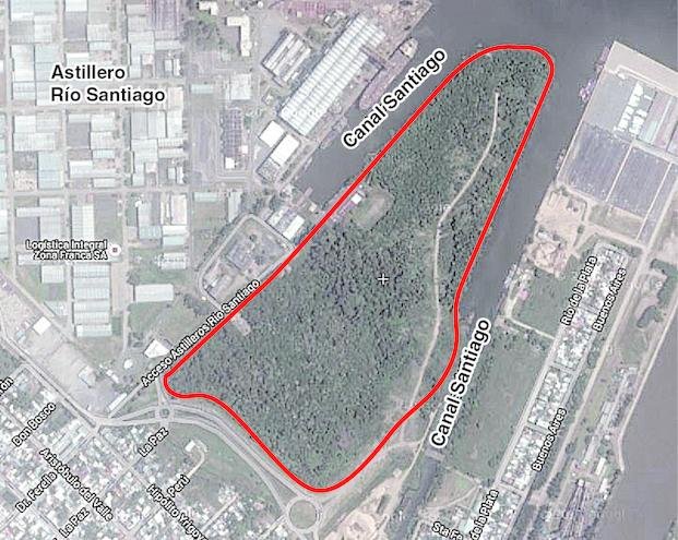 Nuevo reclamo por tala en el Monte Ribereño