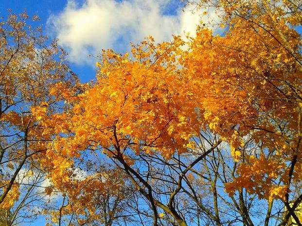 Lindo día de otoño
