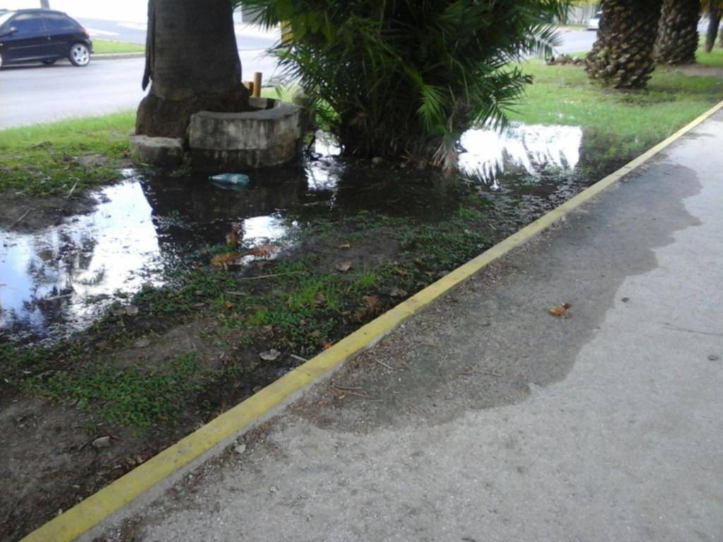No aflojan los reclamos por las filtraciones en la Región