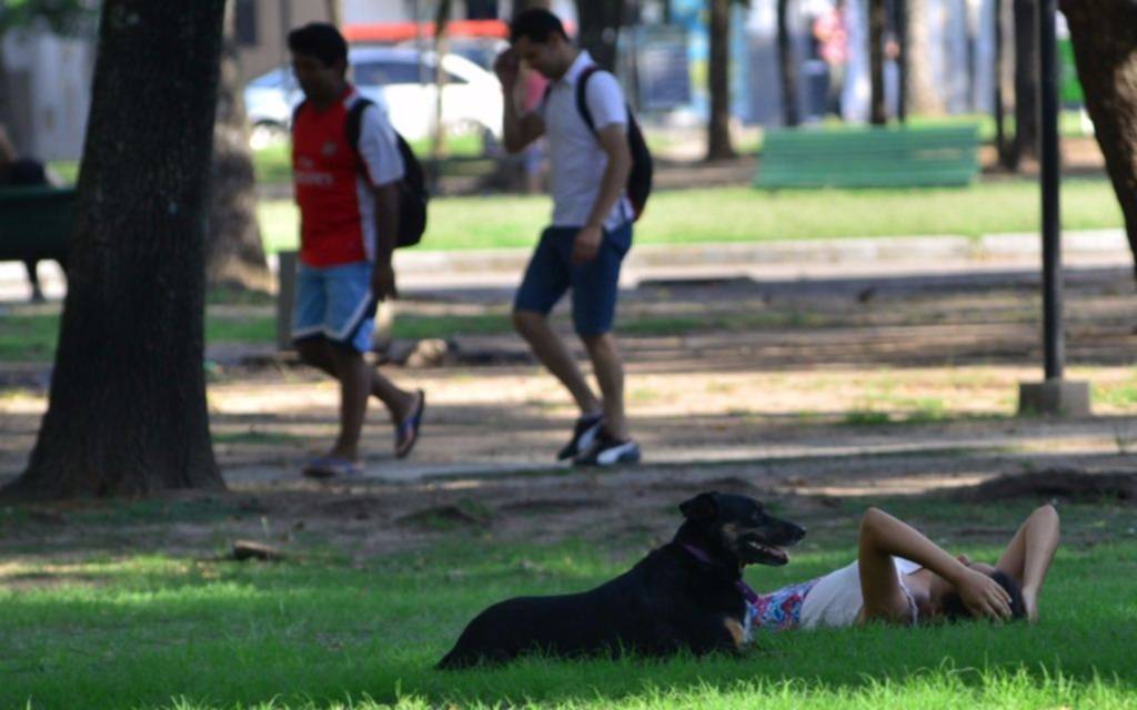 La ola de calor fue la más extensa en la historia para el mes de febrero 