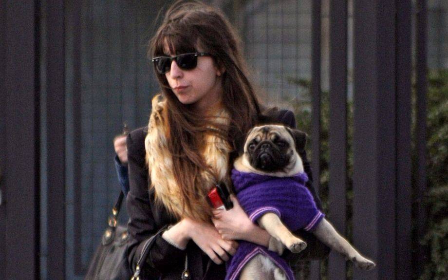 Florencia Kirchner denunció a Sturzenegger por abuso de autoridad