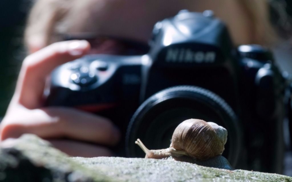 Cuatro recomendaciones para la fotografía en primer plano