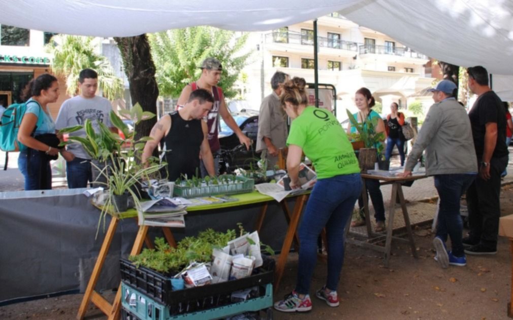 Difunden actividades del área de Medio Ambiente