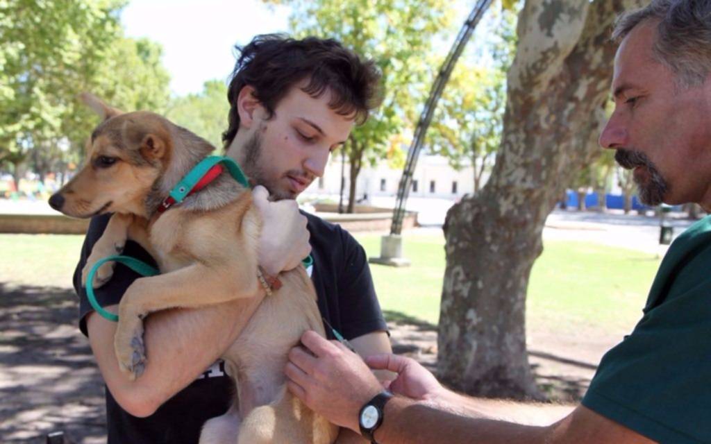 Brindarán nuevas jornadas gratuitas de vacunación para mascotas