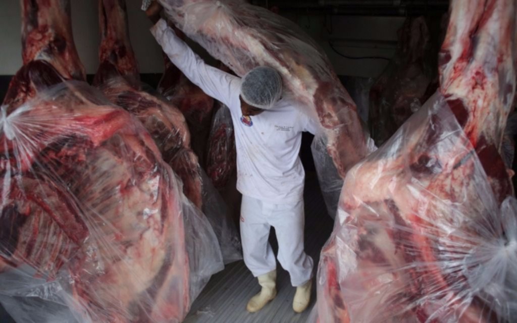  Escándalo en Brasil: usaban químicos para disimular olor a carne podrida 