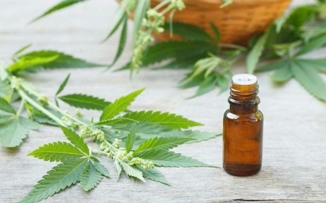 Mendoza: avanza proyecto sobre uso medicinal del aceite de cannabis 