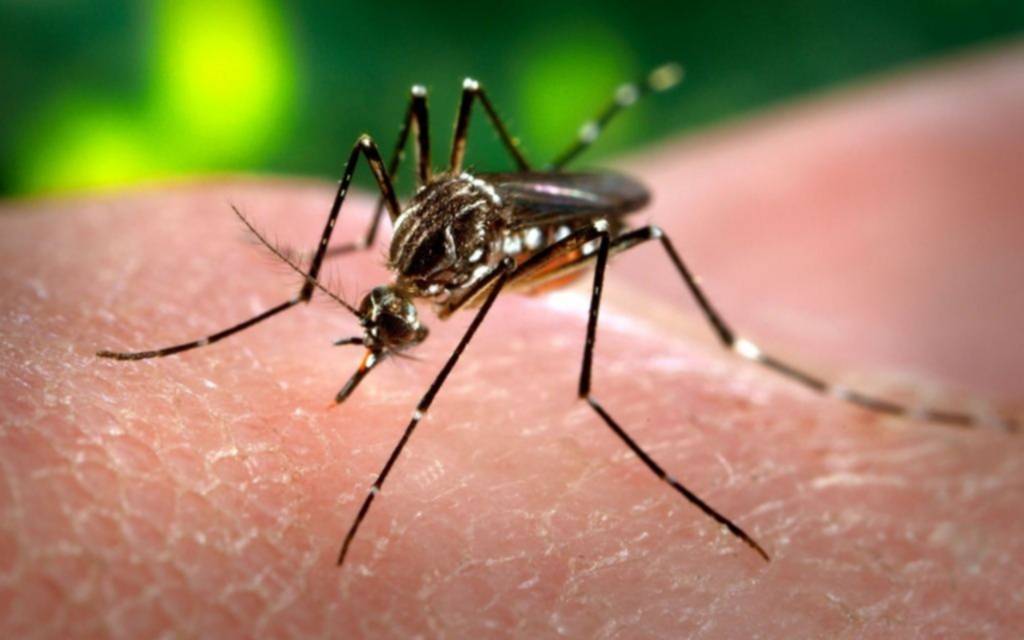 Probables casos de Dengue en el Distrito