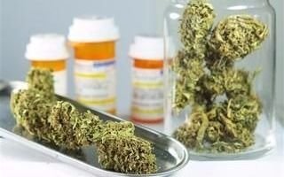 El uso medicinal del cannabis podría convertirse en ley mañana