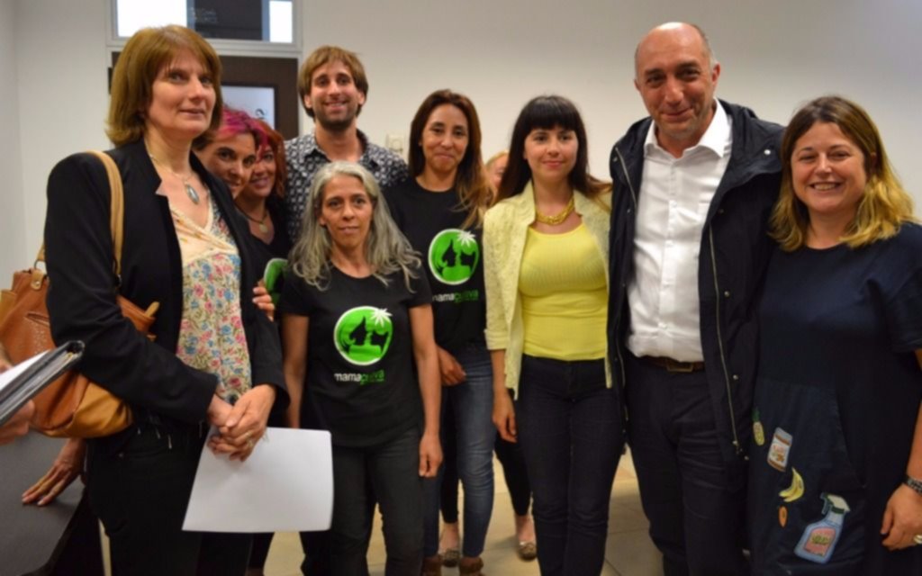 Diputado Torres celebró sanción del uso medicinal del cannabis