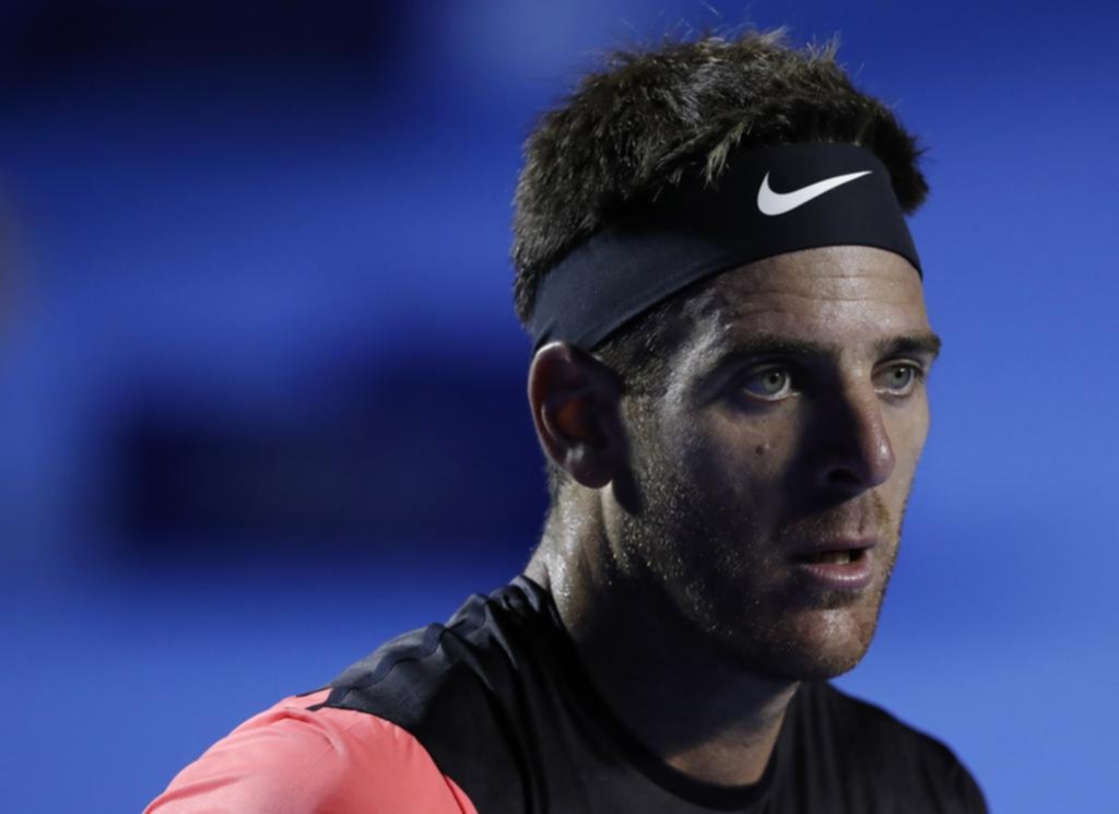 Del Potro buscaba el pase a semifinales