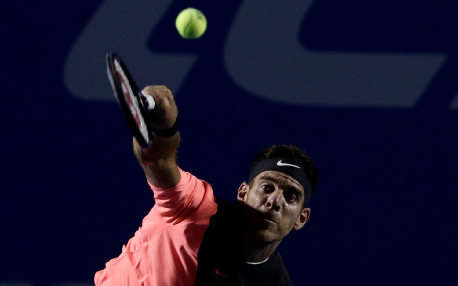 Del Potro batalló y se impuso a Thiem en el ATP 500 de Acapulco