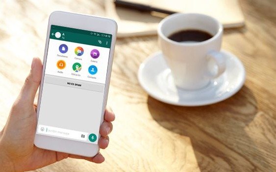 Conectate con EL DIA a través de WhatsApp
