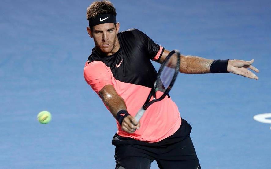 Del Potro volvió a ganar y está en la final de Acapulco