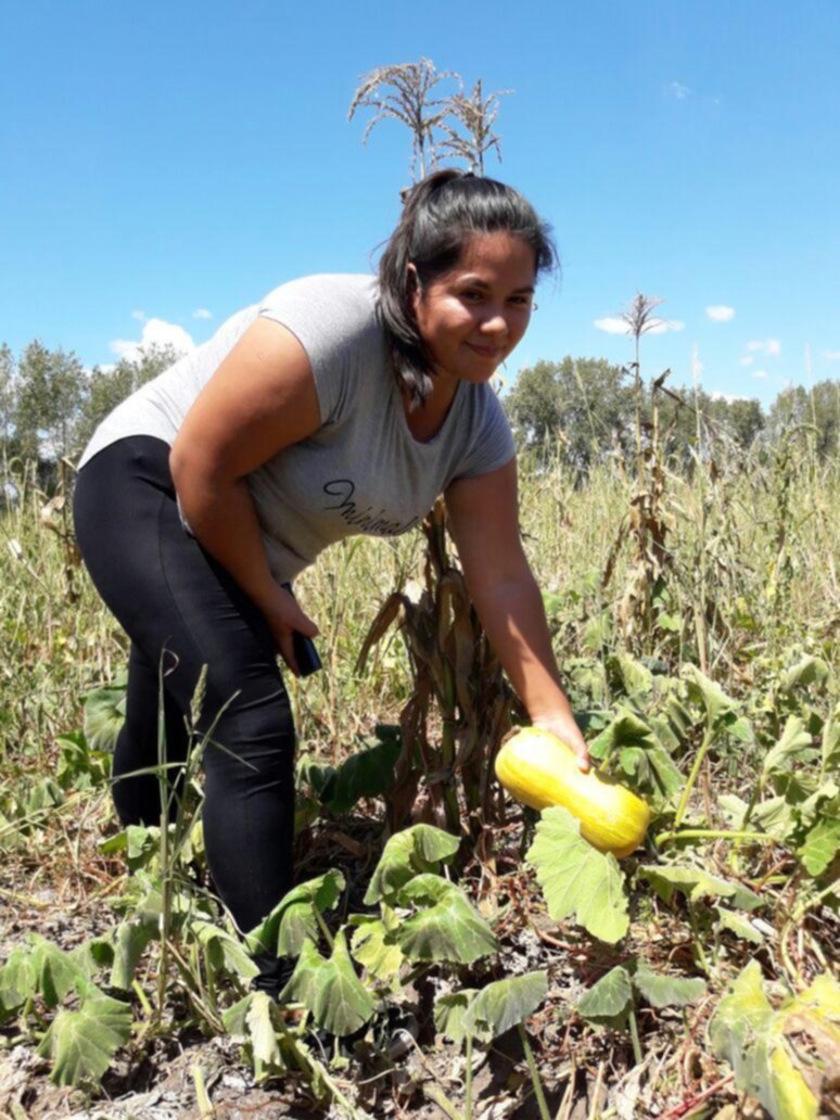El “zodíaco” de las hortalizas platenses