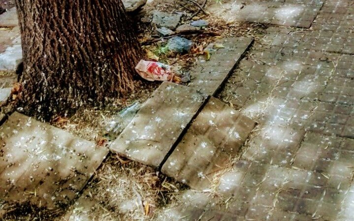 Preocupa el pésimo estado de una acera en inmediaciones del Teatro Argentino