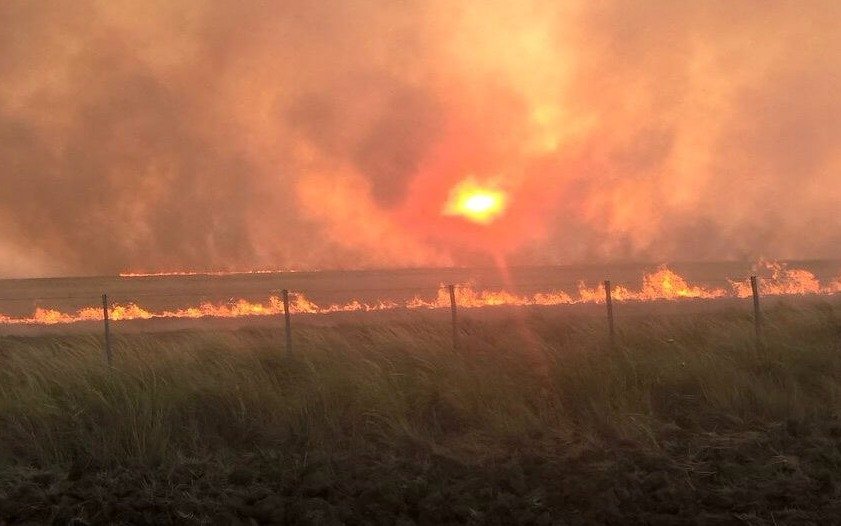 Incendios en La Pampa: alertan que un foco sigue activo y ya se quemaron 900 mil hectáreas
