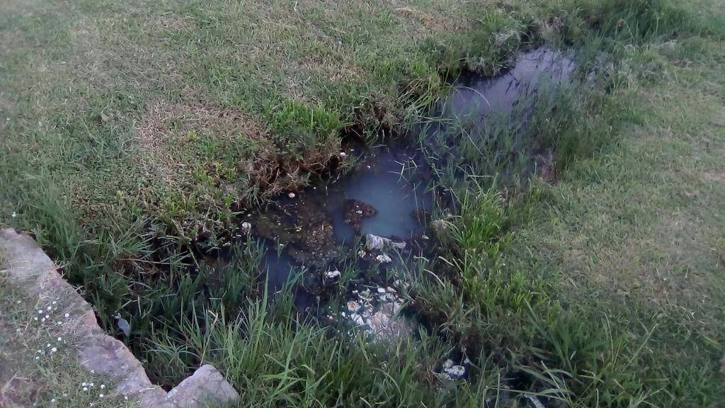 Reclamo en Arana por una zanja llena de agua estancada