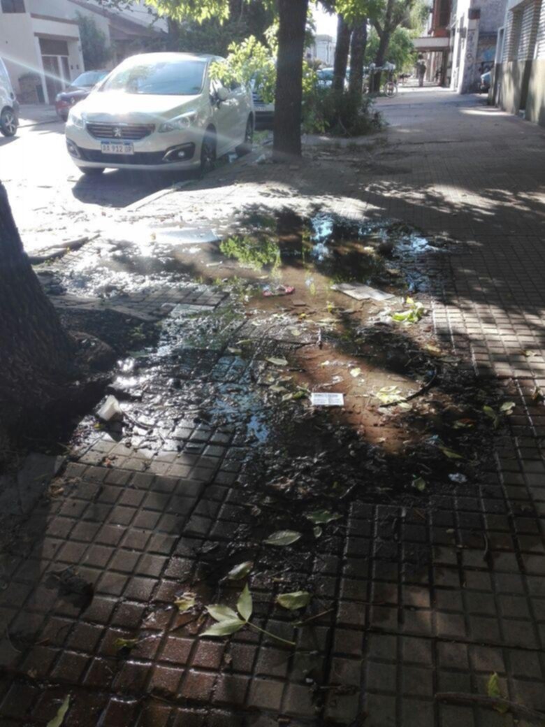 Cañería rota en 14 y 38 inundó una vereda