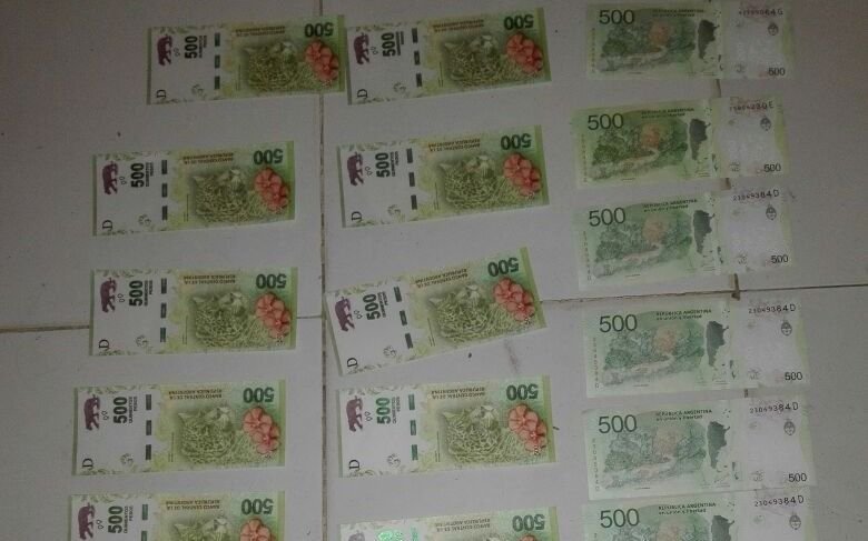 VIDEO: Desmantelan una banda narco que además vendía billetes falsos