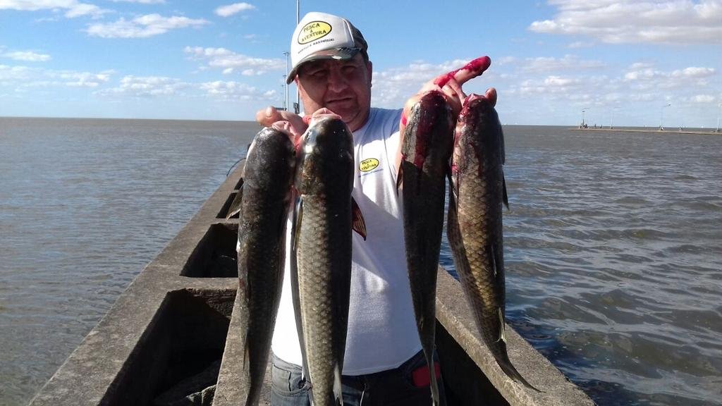 Un buen momento para la pesca de lisas en Punta Lara