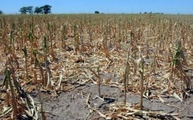 El 35% del área cultivable de la Provincia está afectada por la sequía