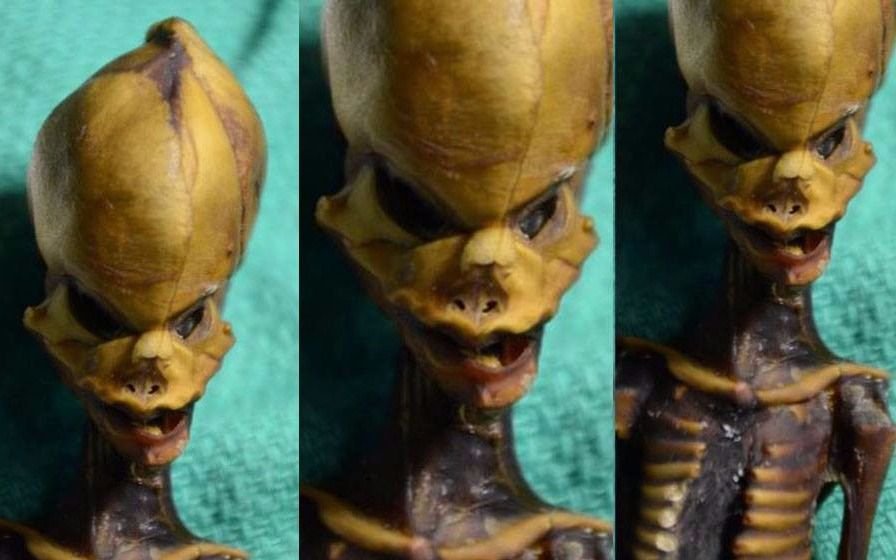 Misterio resuelto: la pequeña momia de Atacama no es un alien