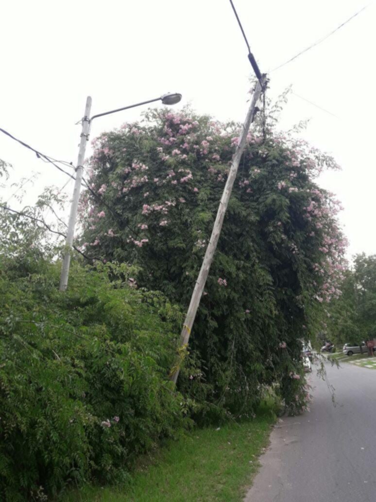 En Villa Elisa un poste está a punto de venirse a pique
