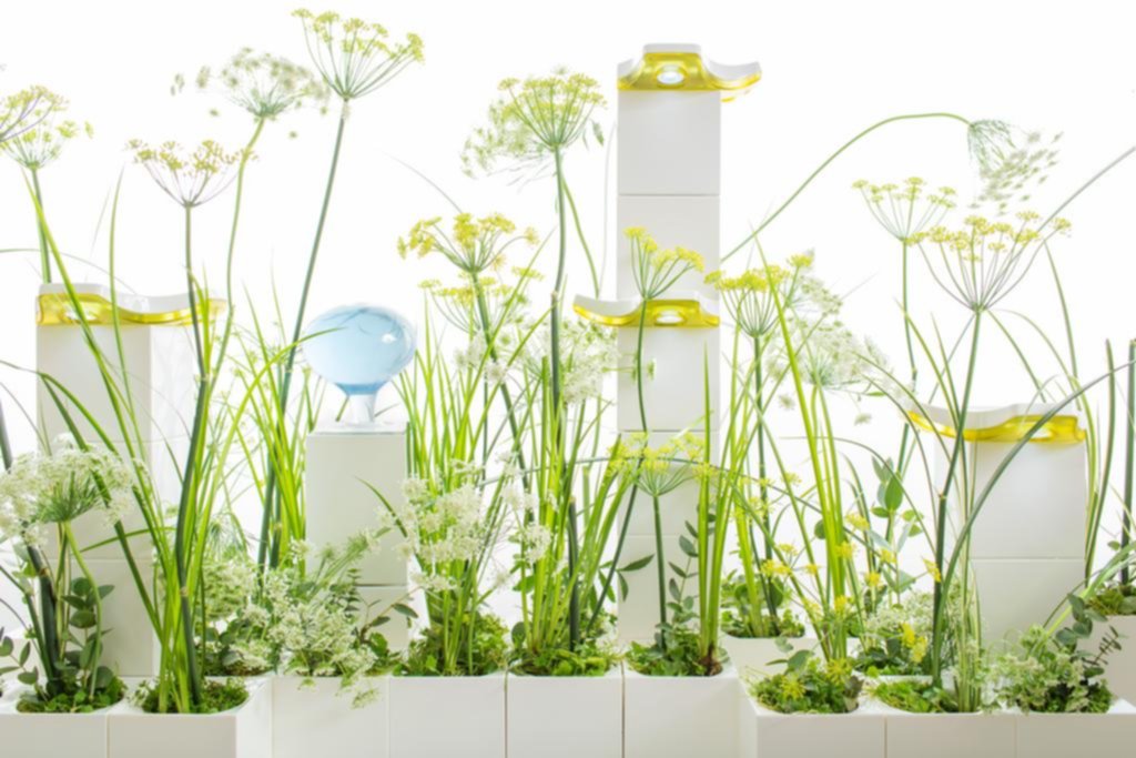 Cree su propio jardín modular